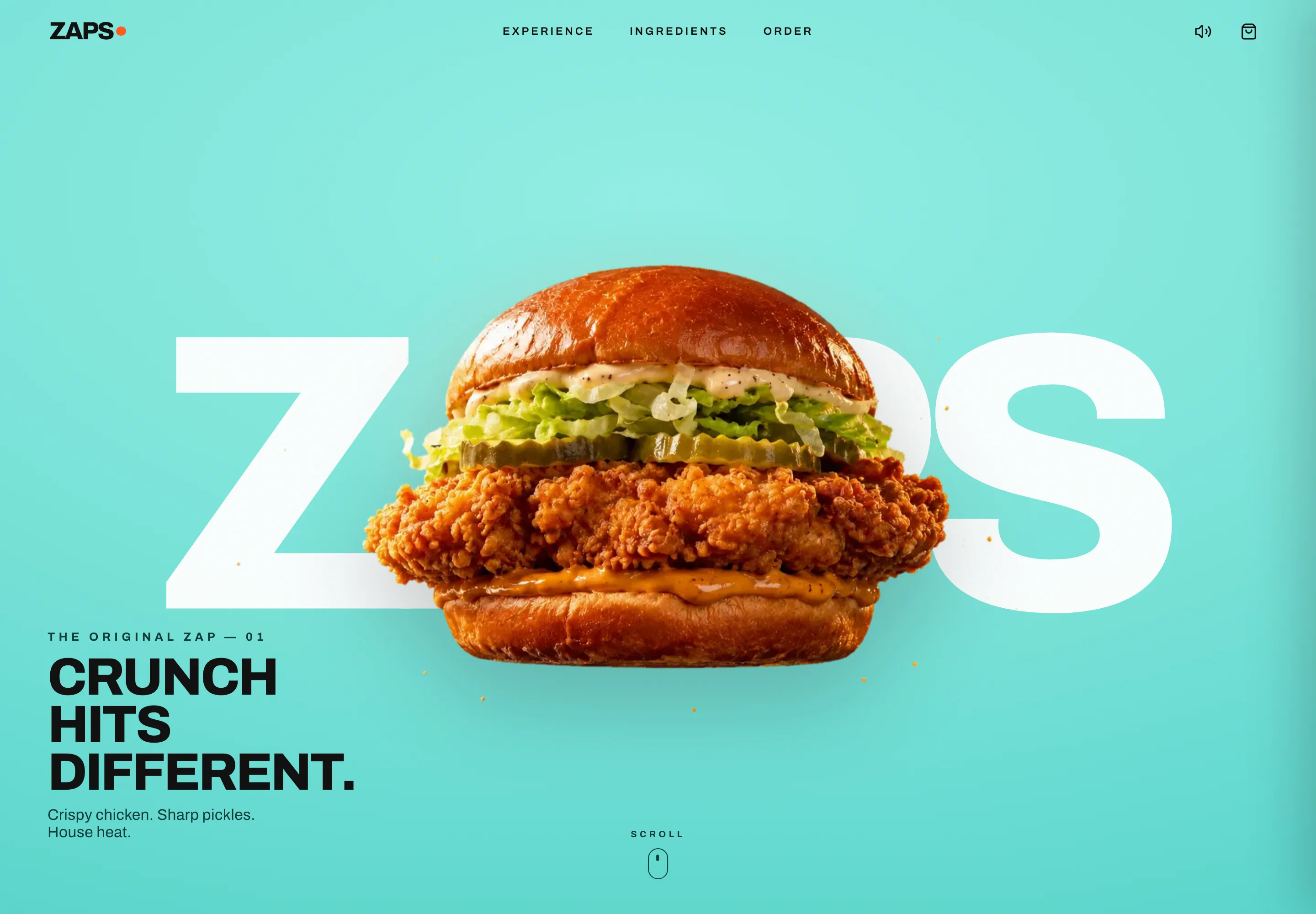 Landing page of the ZAPS concept website designed by Solis Digital